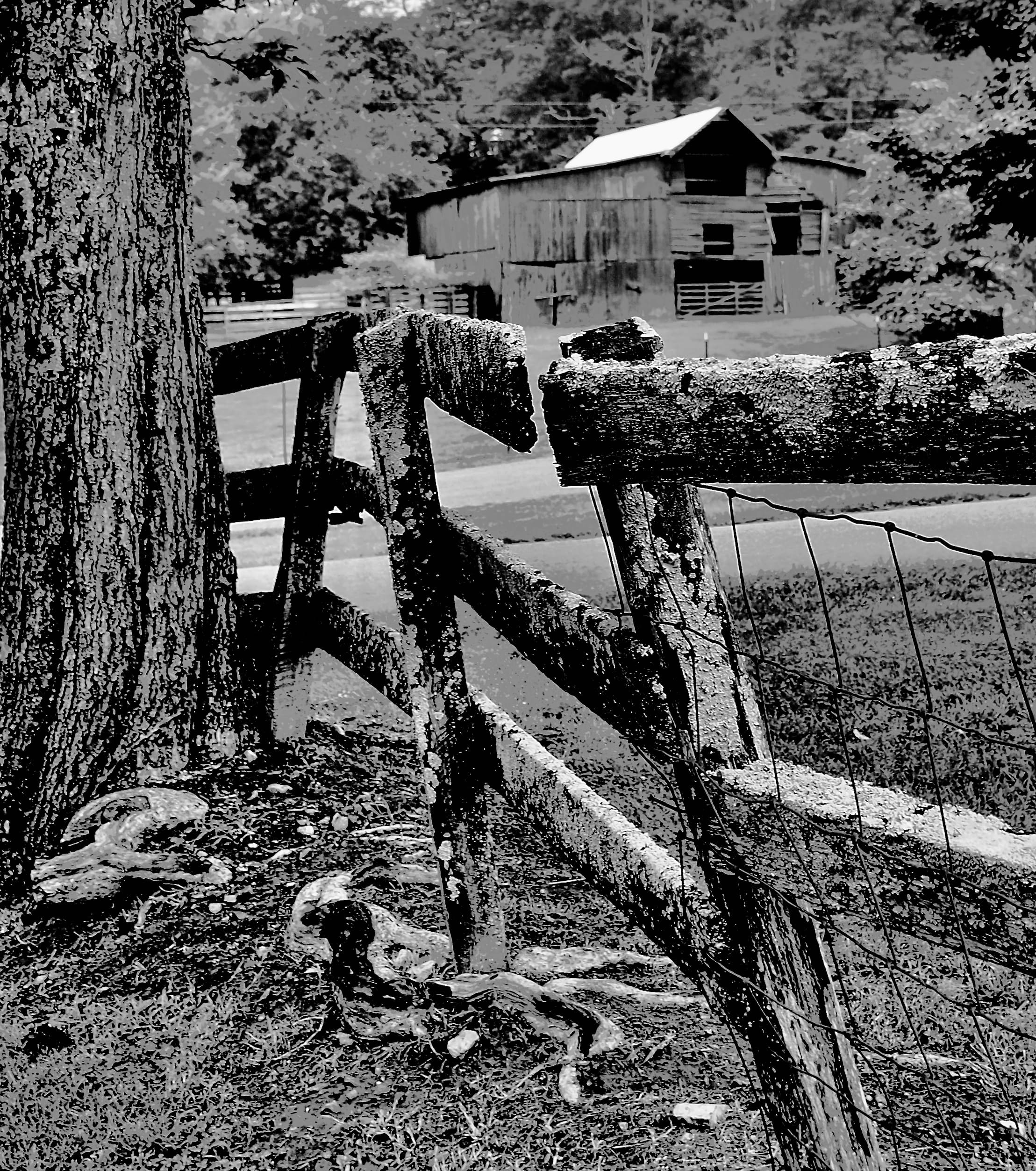 Rustic barn with fence